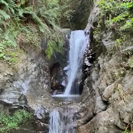 Lejlighed Le Allodole